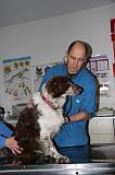 AUSCULTATION 071